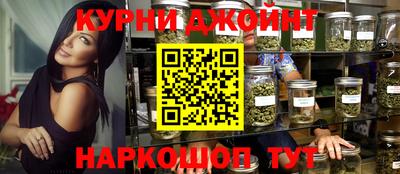индика Ставрополь